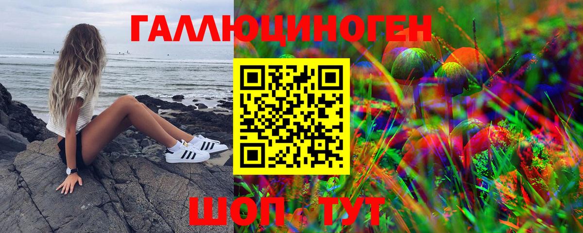 Галлюциногенные грибы Psilocybe Приморско-Ахтарск