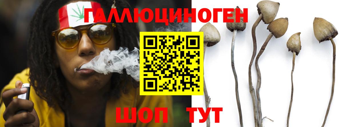 Галлюциногенные грибы Psilocybe  Вход с VPN  Приморско-Ахтарск  Галлюциногенные грибы MAGIC MUSHROOMS 